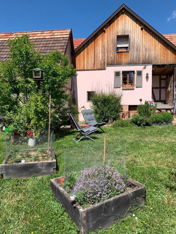 Chambres D'Hotes "La Bouill'Hote" Langensoultzbach Esterno foto